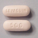 Levaquin (Levofloxacin) - 250 mg - 5 Comprimés