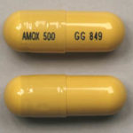 Amoxil (Amoxicillin) - 250 mg - 60 Comprimés