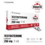 Test E INJ (Testosterone Enanthate) 250 mg/mL - 30-ampoules